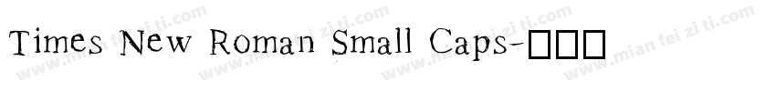 Times New Roman Small Caps字体转换